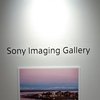 岡田裕介作品展＠Sony Imaging Gallery　2023年6月25日（日）