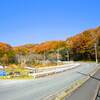 嵐山渓谷（埼玉県）紅葉