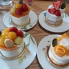 始まりました