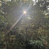 どんな自分も一緒に生きることができると、「いま」を生きることもできるようになる。
