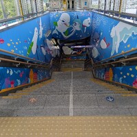 赤ちゃんあざらしを見たくて八景島シーパラダイス