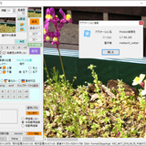 Pixtack紫陽花2.7.96.190、不具合修正