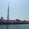 隅田公園の桜・桜短歌またまた続き