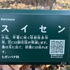 （紹介：植物）新宿中央公園、眺望の森にあるスイセンを紹介します