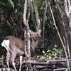 宝ヶ池プリンスオートグラフコレクションのすぐ近くにある宝ヶ池公園はお散歩におすすめコースです。