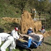 里山協力隊：稲上げ編