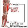 腱や靭帯も、意図的に使えるようにトレーニングしましょう！