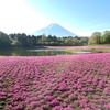 山梨・富士山と芝桜③＆ハート・5,03