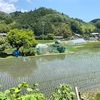 笠置へ、そして機関車のあるパン屋さんへ