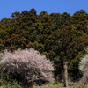 少しずつ体を動かしていく。