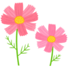 コスモスのフリーイラスト素材