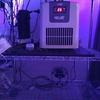 海水アクアリウム 春はクーラーの掃除をします 後編 エーハイムダブルタップがあると安全 千日太郎のアクアライフ