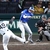 DeNAベイスターズが阪神タイガースに4連勝で日本シリーズ進出！