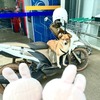 チェンマイよりもシェムリアップが圧倒的に多い！人口ならぬ”犬口密度”高すぎるローカルエリアの実態💦
