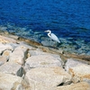 鳴門ウチノ海総合公園