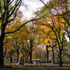 Fall Color in Central Park