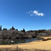 DIC川村記念美術館が閉館になるので行ってきたのだ（土日はめちゃめちゃ混んでた）