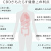 ★「CBDオイル」とは・・・？