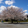 南台公園（相模原市南区南台）
