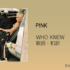 【歌詞・和訳】P!NK / Who Knew / ピンク / フー・ニュウ