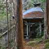 小雪の加持ヶ峰遊山　冬木立