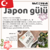 トルコの花屋で偶然出会ったJapon gülü 日本のバラ