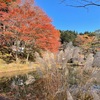 紅葉を求めて、六甲山へ！