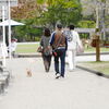 2016奈良公園③