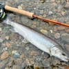 釣りしかすることがない