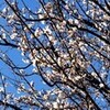 暖かい気がする・・