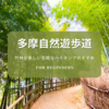 多摩自然遊歩道〜豊かな自然、竹林が美しい気軽なハイキングのすすめ〜