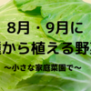 ８月・9月に種から植える野菜　〜小さな家庭菜園で〜