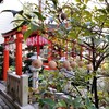 【京都】『錦天満宮』に行ってきました。 京都観光 そうだ京都行こう 開運めぐり