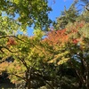 白金台庭園美術館　目黒雅叙園
