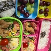 子供のお弁当⑤