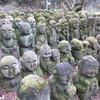 京都の神秘に触れる旅