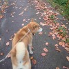 今日は地元の小学生と…