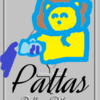 獅子座「11ハウス」小惑星パラス　Pallas