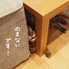 テーブルの下で。