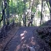 夏〜い季節になりました
