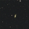 くまたぬきのトラの目銀河NGC2841～春の銀河祭り開始