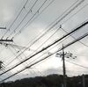 早朝の雨と日中の冷房