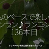 2379食目「私のペースで楽しくランラン♪ランニング136本目」マリナタウン海浜公園を廻る5kmコース