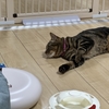 良かったね(にっこり)