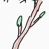 俳句と散文　お題「木の芽」
