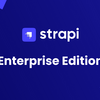 VPSでヘッドレスCMS「Strapi」の提供