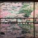 毎日の活動記録