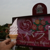 梅雨入りの2014/06/02 グリーンパークのバラ祭りに行って来ました！！
