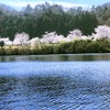 2019.4.5の釣果