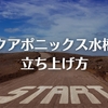 アクアポニックス水槽の立ち上げ方と水耕栽培との違い